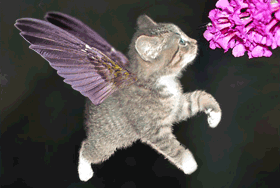 sticker_4458010_9747773