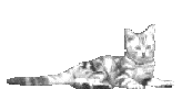 sticker_21555214_40416957