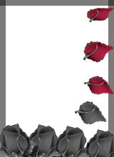 sticker_10166598_16571849