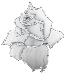 sticker_19675053_27744453