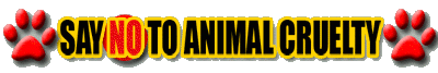 sticker_14533565_27343375