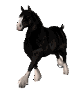 sticker_12682704_41316994