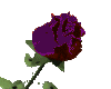sticker_449459_496272