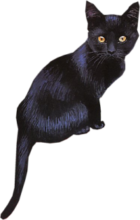 sticker_16735243_27435109