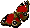 sticker_21711121_34109066