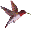 sticker_10618457_23270921