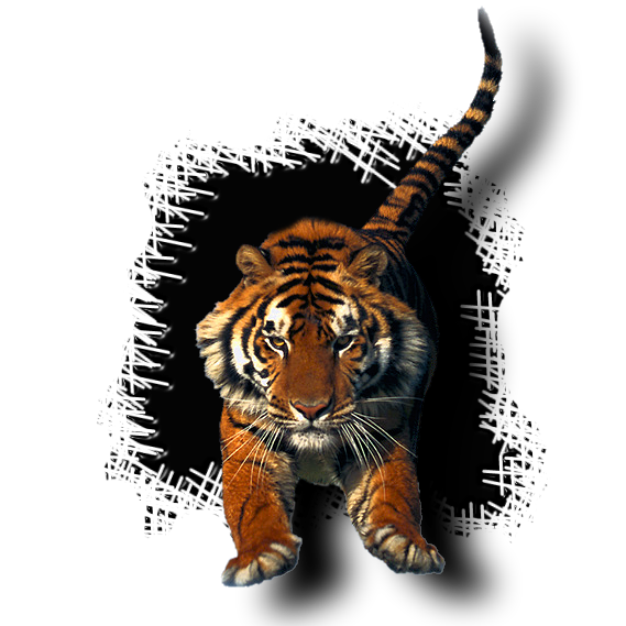 sticker_791853_41681827