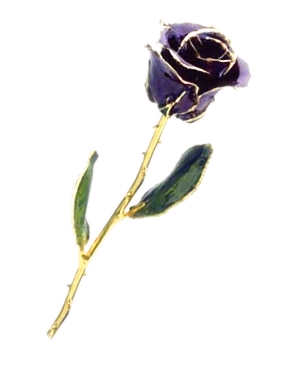 sticker_10391757_24107516