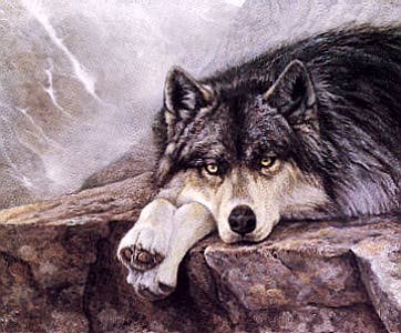 sticker_10420054_14677571