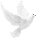 sticker_11213432_38006715