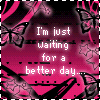 sticker_11227109_16172069