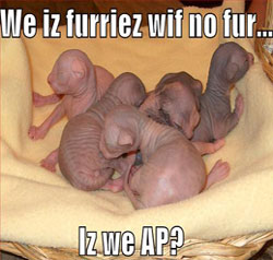 sticker_2175267_27750295