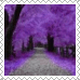 sticker_6195420_44298894