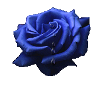sticker_20005505_40991012