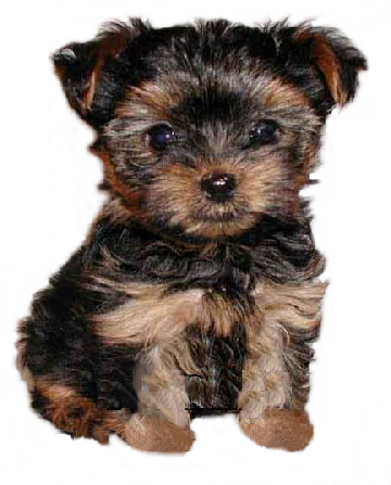sticker_20891156_41760602