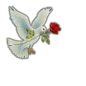 sticker_15095456_27536871