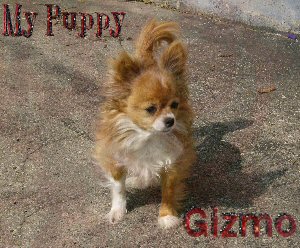 sticker_5532123_33125422
