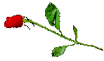 sticker_7607434_16472699