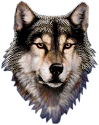 sticker_1445224_2471850
