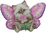 sticker_348161_541806