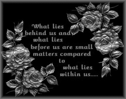 sticker_15713746_38703161