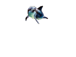 sticker_18086948_37523181