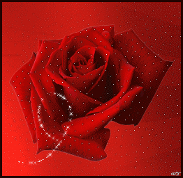 sticker_18939971_32553443