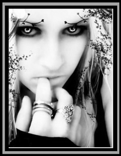 sticker_6569575_29321818