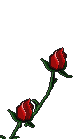 sticker_20545146_34596955