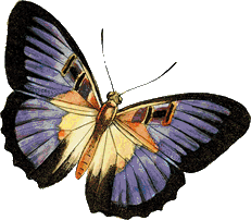 sticker_14577159_35351929