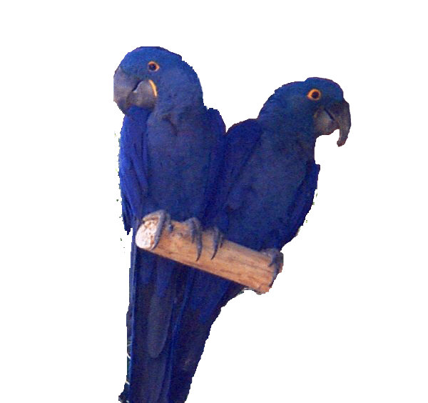 sticker_20857614_36101810