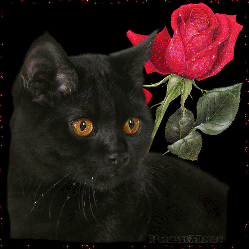 sticker_10782918_16917308