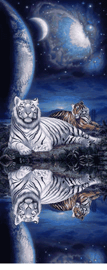 sticker_20328914_29051313