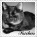 sticker_13750841_33993355