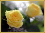 sticker_21068923_35367188