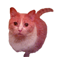 sticker_14158913_21505335