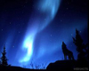 sticker_29430432_40193640