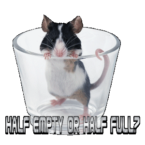 sticker_10537218_19887953