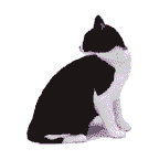 sticker_27118118_40976153