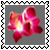 sticker_6195420_44300219