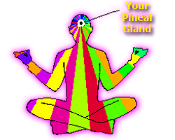 sticker_3737151_7282565