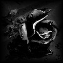 sticker_16198963_39530164