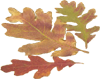 sticker_15713746_35312458