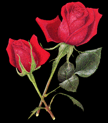 sticker_14532401_34983285
