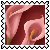 sticker_6195420_24081027
