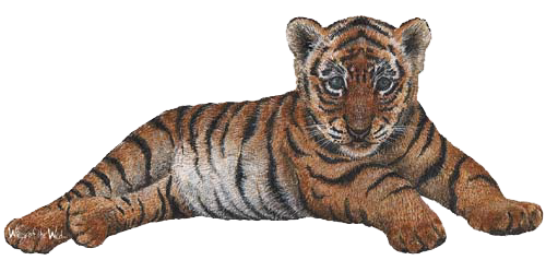 sticker_18166378_32114030
