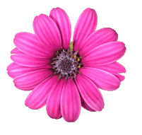 sticker_21183514_34153993