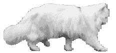 sticker_21068923_35711444