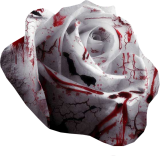 sticker_18385538_40646323