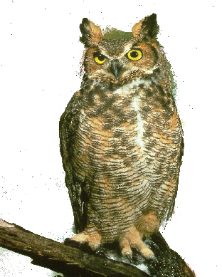 sticker_22836368_36714166